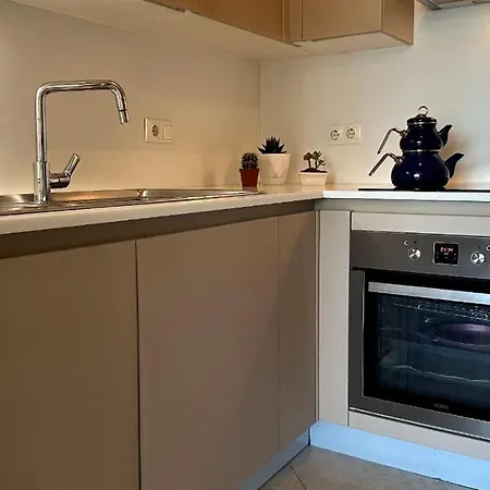 2+1 Ultra Luxury Maslak 1453 * Istambul