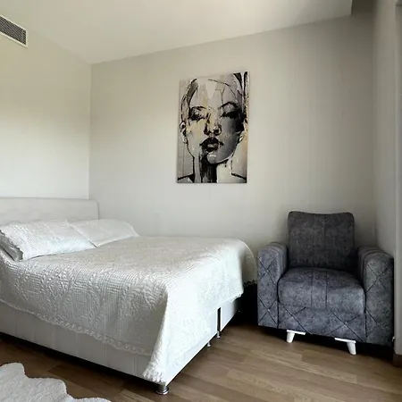 2+1 Ultra Luxury Maslak 1453 Apartamento