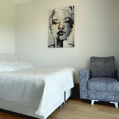 2+1 Ultra Luxury Maslak 1453 Apartament Stambuł